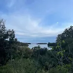 Διαμέρισμα Antic